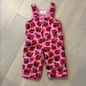 Toddler Pink Ladybug Snow Pants/ Snow Overalls